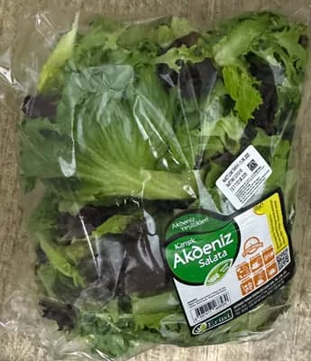Akdeniz salatası erüst