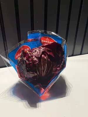 Polorosso