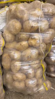 Patates Agria