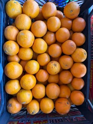 Sıkma Portakal