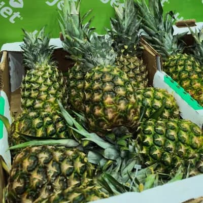Ananas